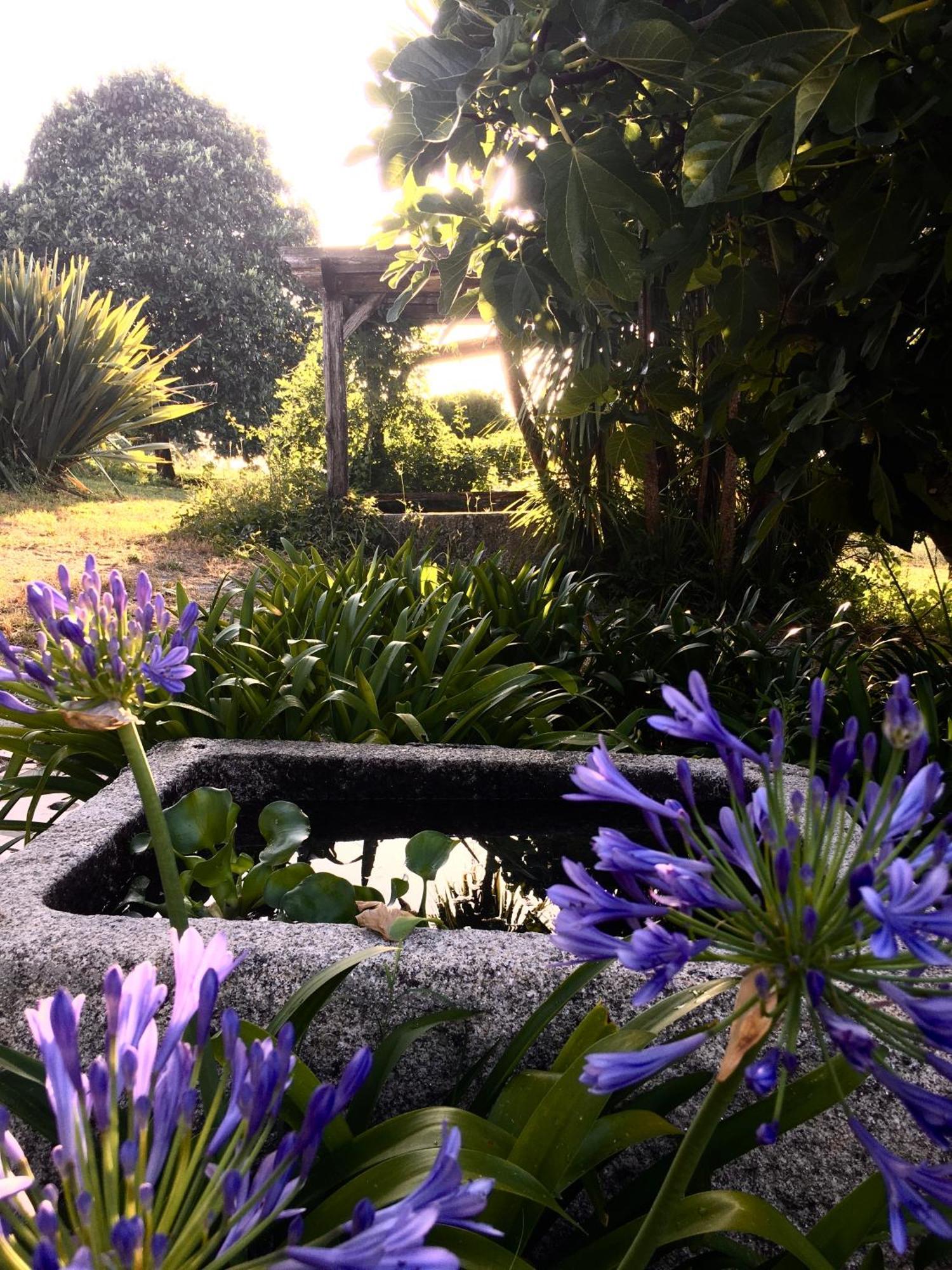 Hotel Quinta De Mocamedes - Turismo De Habitacao Vouzela Exterior foto