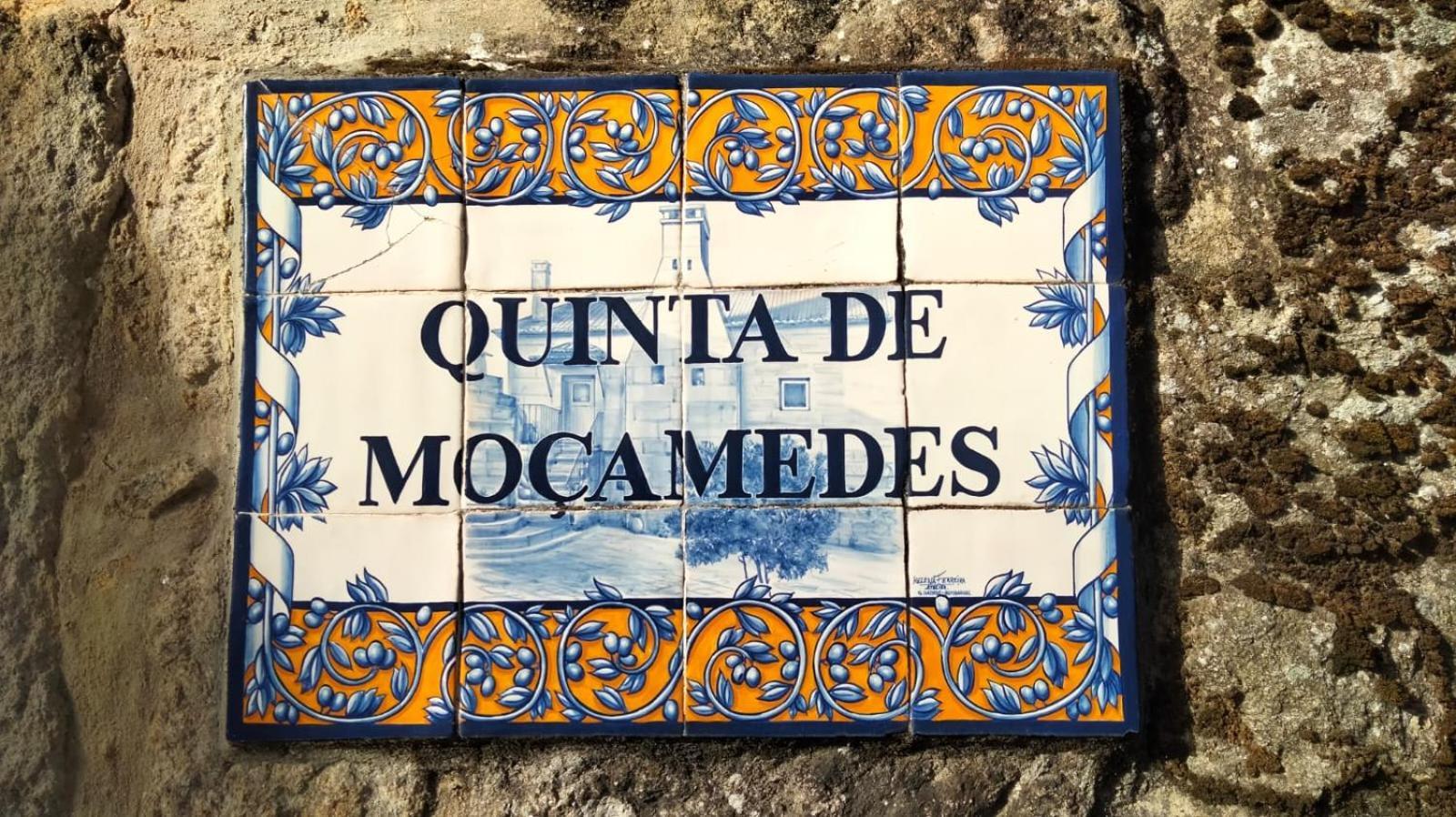 Hotel Quinta De Mocamedes - Turismo De Habitacao Vouzela Exterior foto