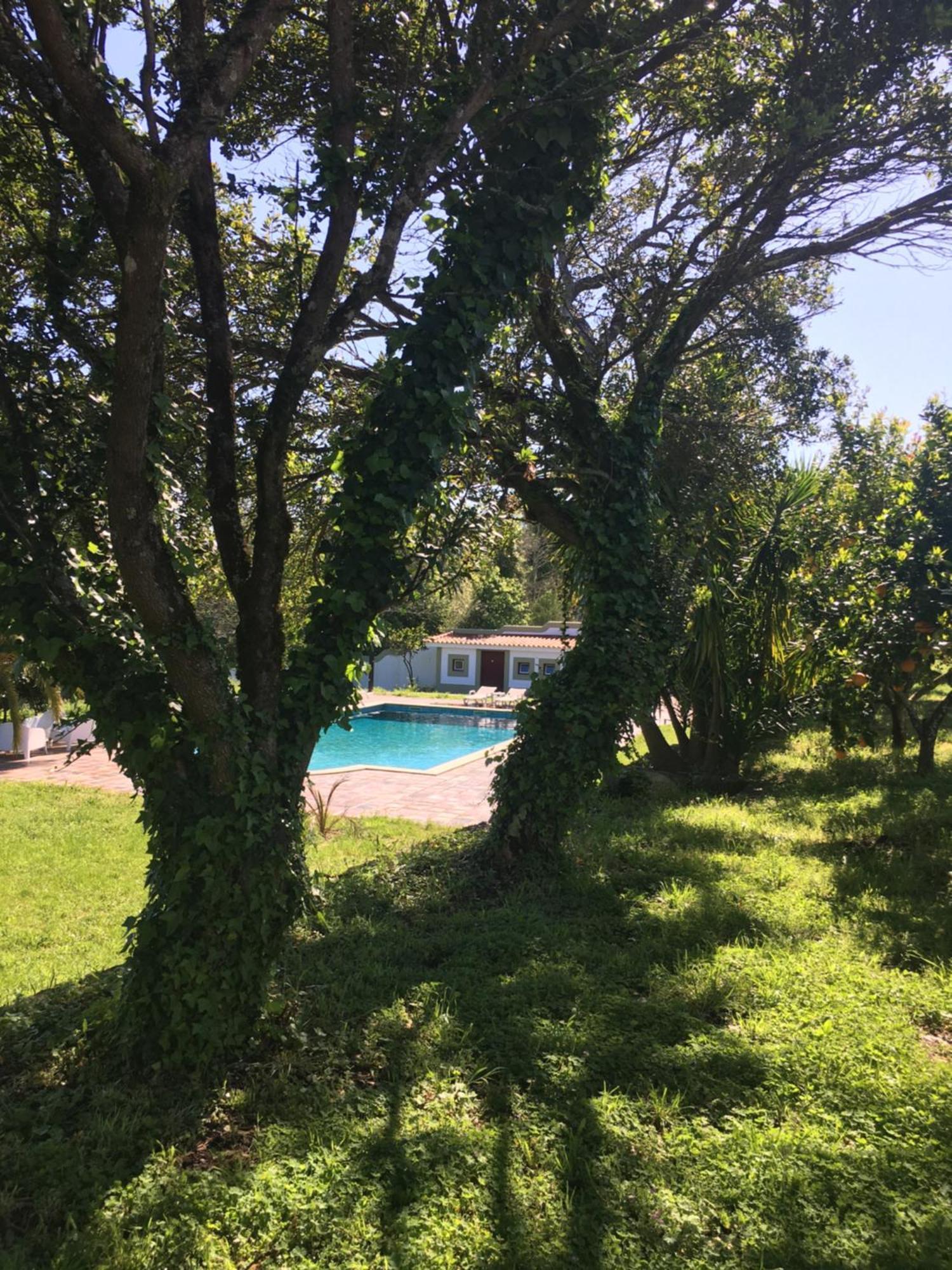 Hotel Quinta De Mocamedes - Turismo De Habitacao Vouzela Exterior foto