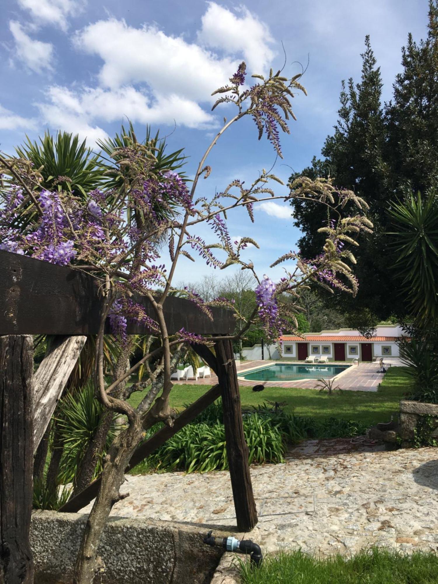 Hotel Quinta De Mocamedes - Turismo De Habitacao Vouzela Exterior foto
